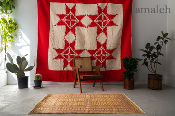 パキスタン産　1990年代　ヴィンテージラグ　パキスタンラグ　ベージュ　ブラウン　茶系　パルダ　エンシ　リビングサイズ　6畳　8畳　10畳　12畳　ダイニングテーブル　ソファ　テーブル　寝室　スタジオ　和室　ディスプレイ　家具　ヴィンテージ家具　手織り　絨毯　カーペット　amaleh　通販